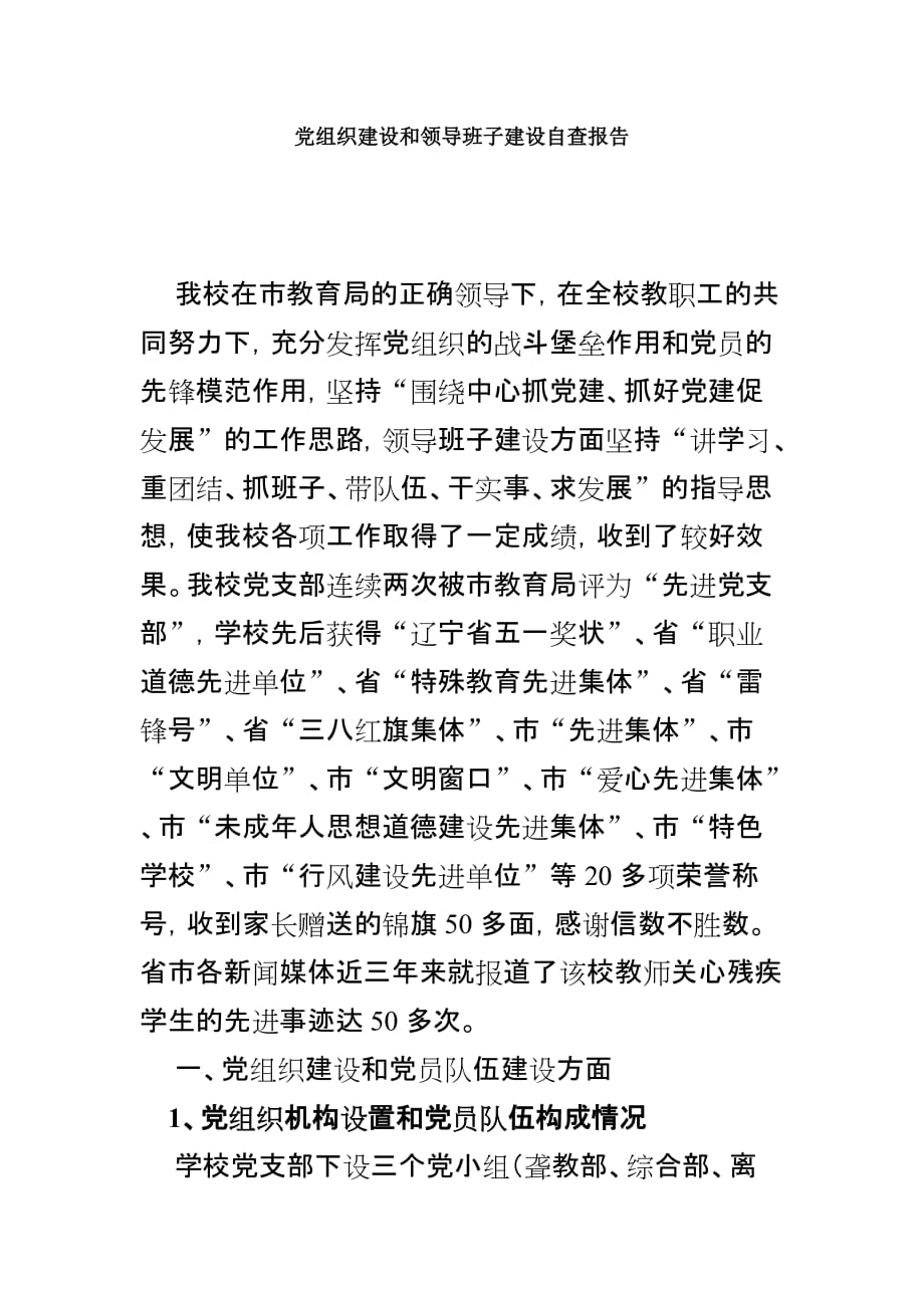 党组织建设和领导班子建设自查报告.doc_第1页