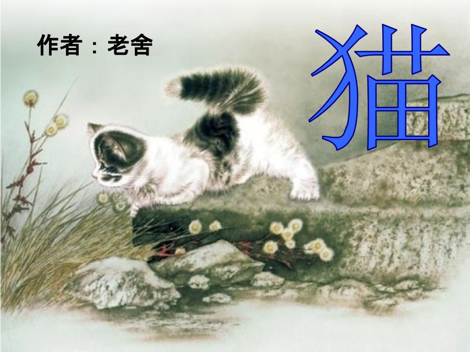 语文人教版四年级上册猫.9-97_第3页