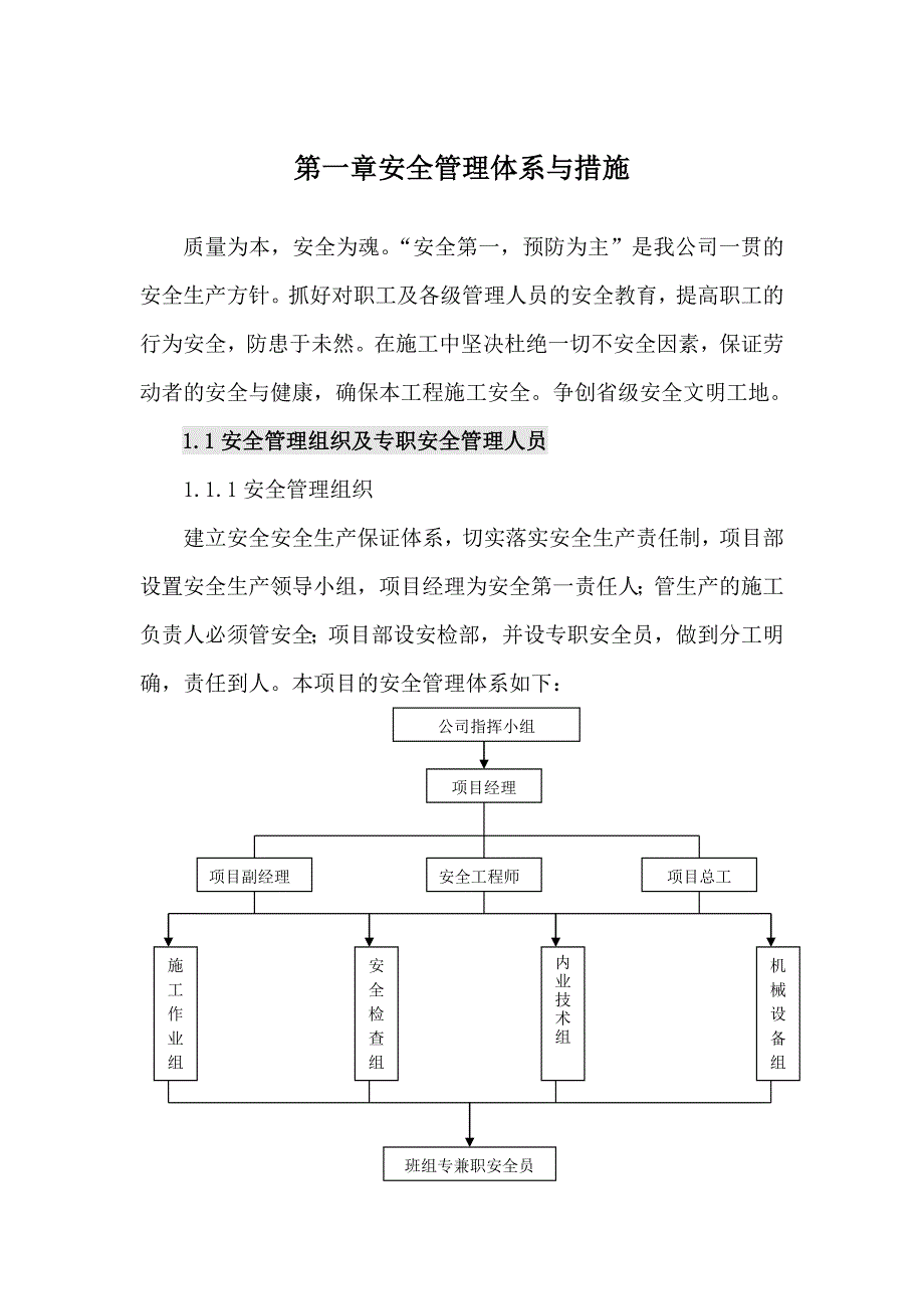 安全质量管理体系资料_第1页