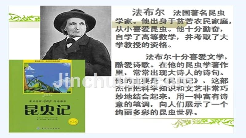 四年级人教版语文上册7蟋蟀的住宅_第5页