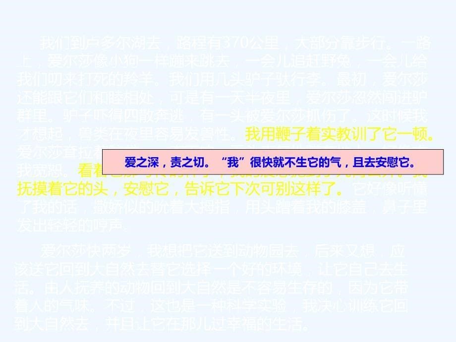 人教版三年级语文下册《小狮子爱尔莎》_第5页