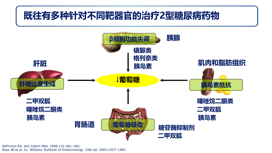 glp-1ra利拉鲁肽治疗2型糖尿病_第4页