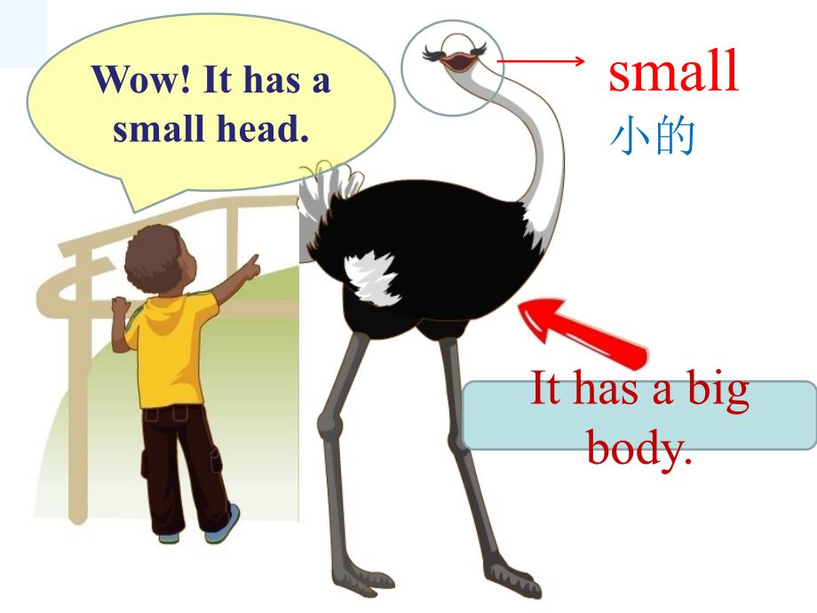 英语人教三年级下册unit3 b let’s learn let’s do_第3页