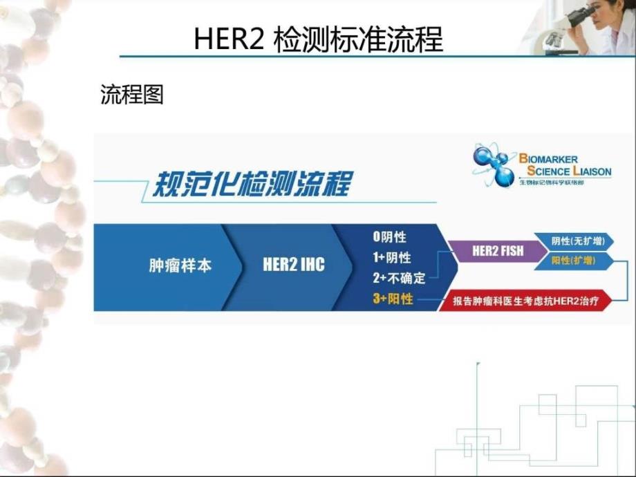 her基因扩增fish典型特殊案例分享_第4页