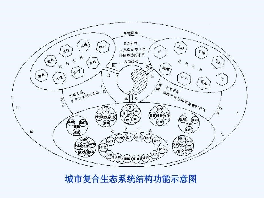 生态学 城市生态系统_第5页