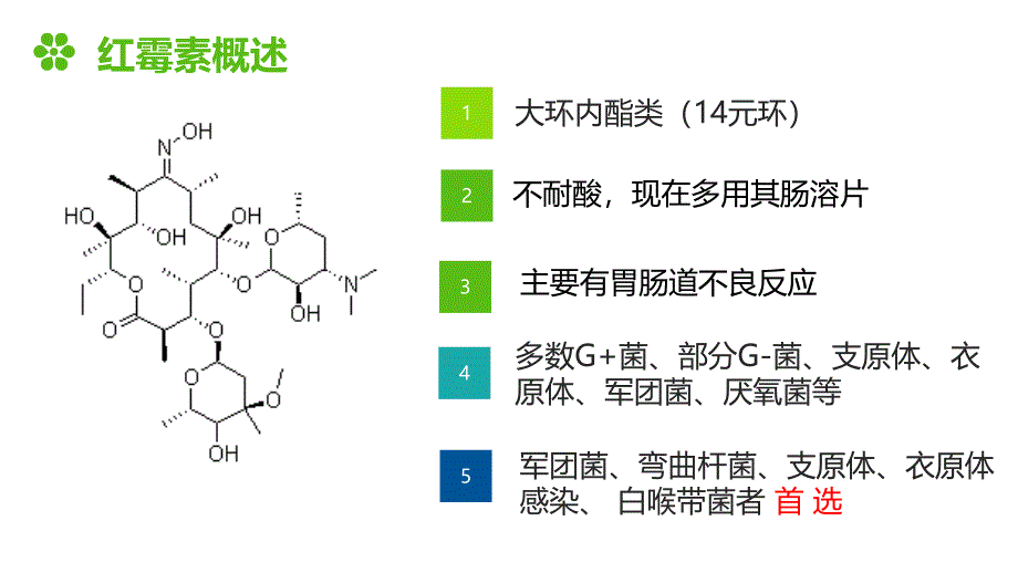 小剂量红霉素大作用_第4页