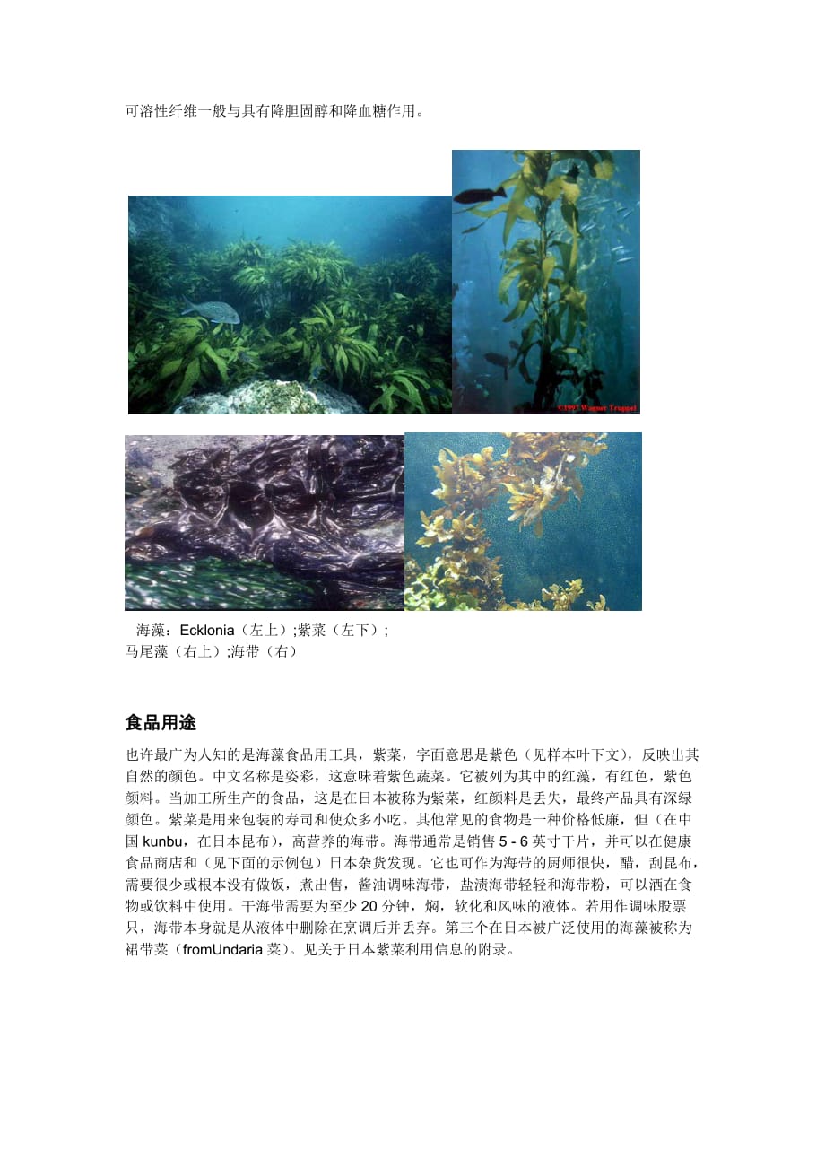 海藻的营养和药用价值.doc_第2页