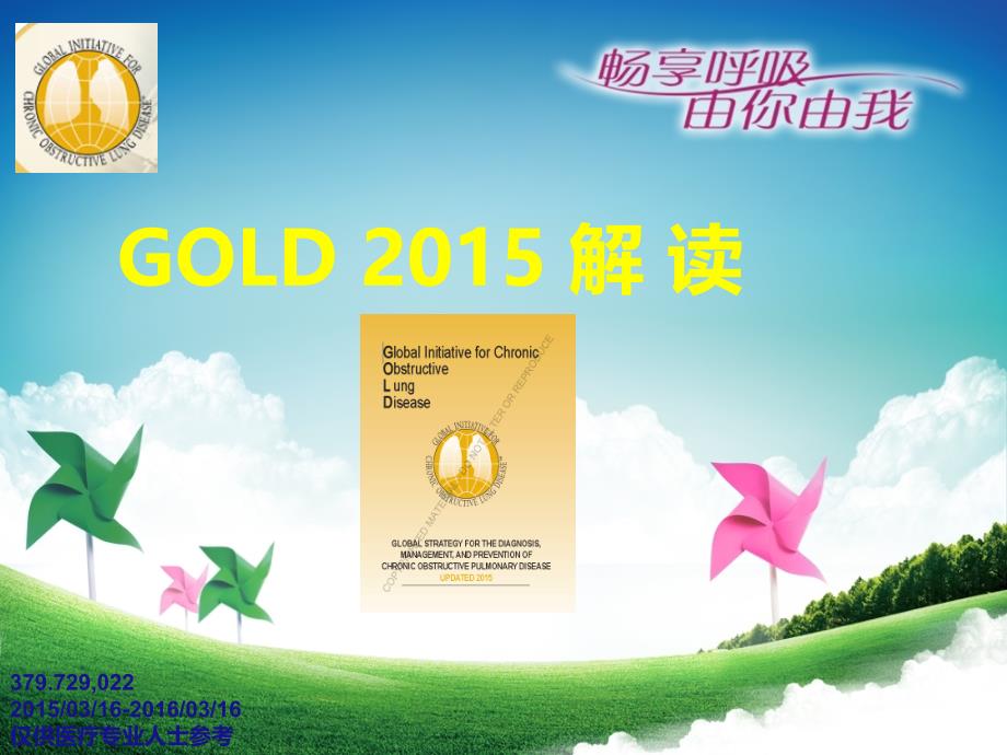 2015年慢性阻塞性肺病诊疗治疗(gold)_第1页