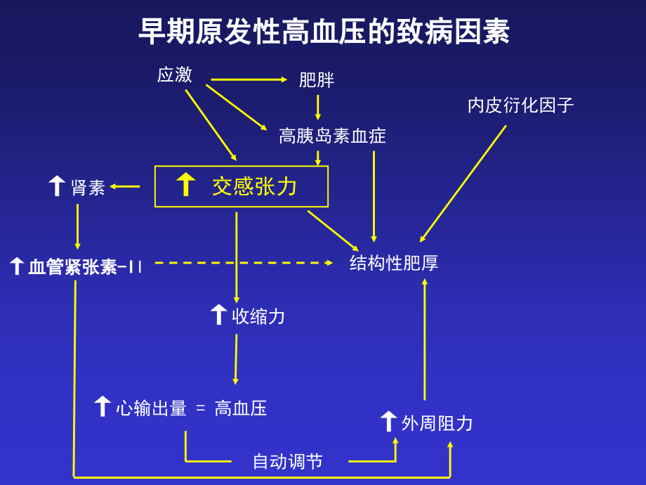 交感神经系统与b-受体阻断剂_第4页