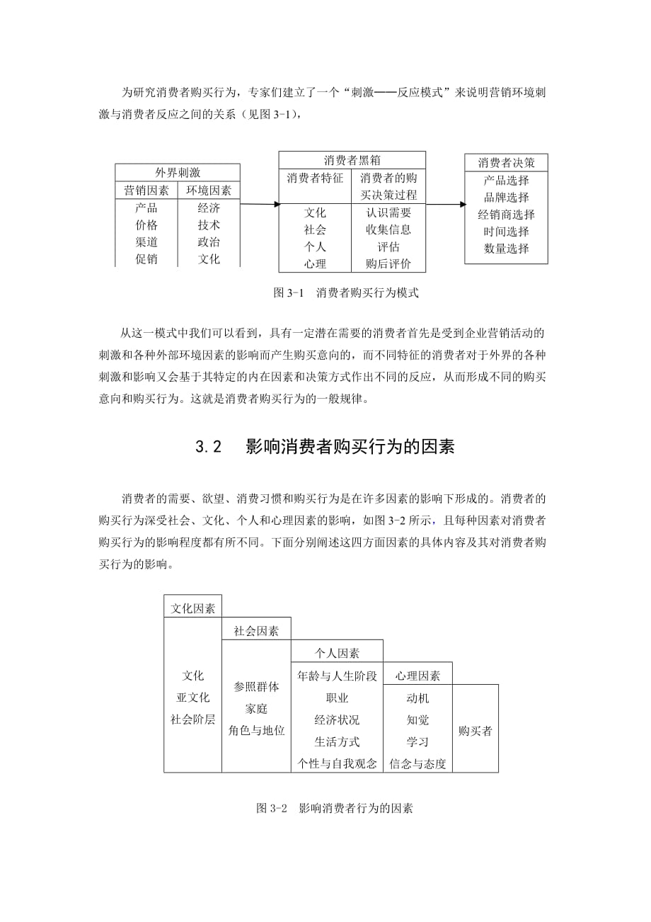 消费者市场及其购买行为分析.doc_第3页