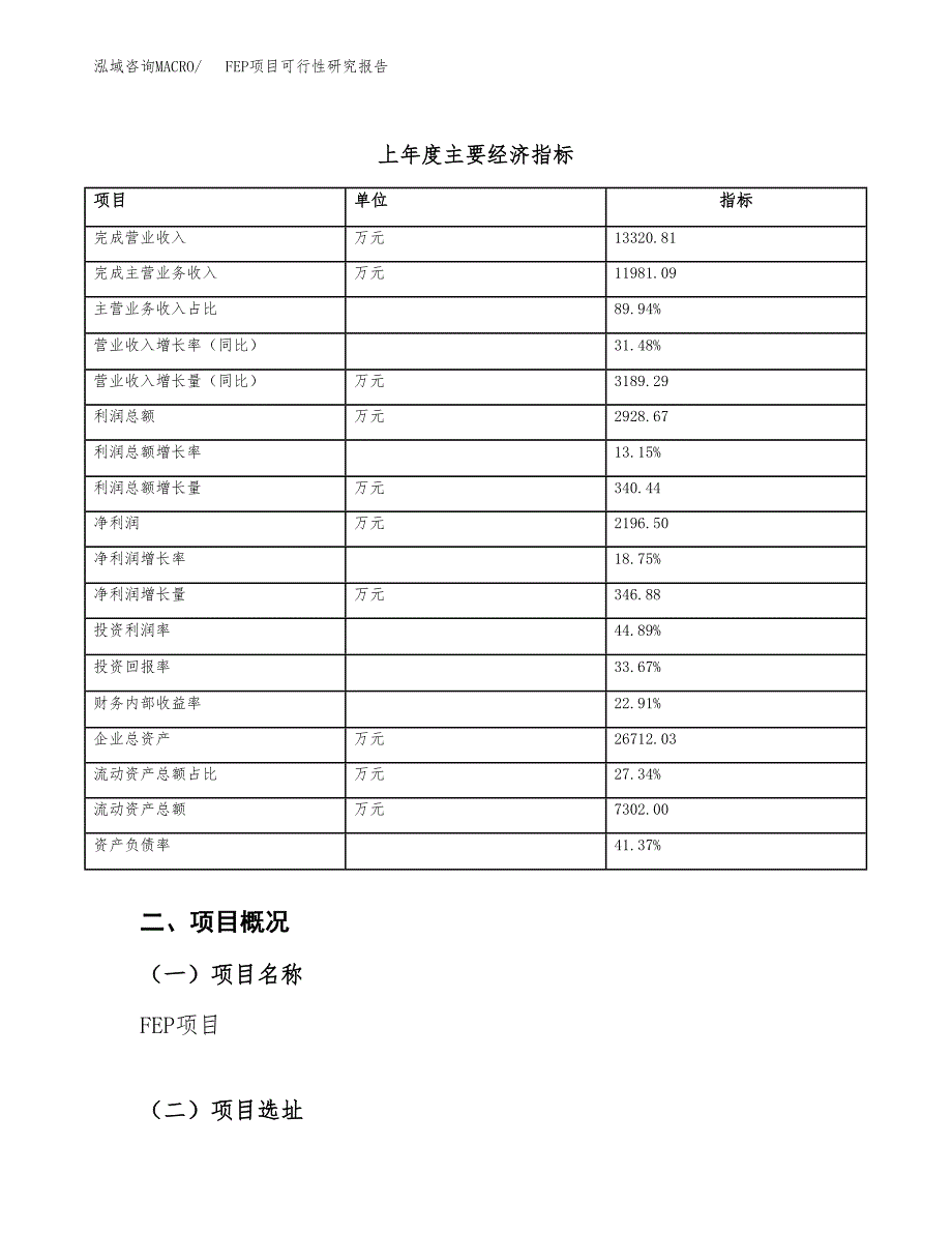 FEP项目可行性研究报告（总投资12000万元）（53亩）_第4页