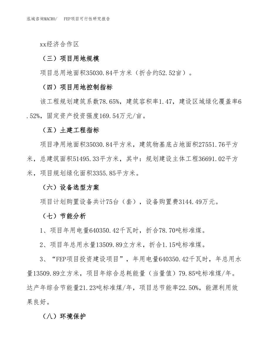 FEP项目可行性研究报告（总投资12000万元）（53亩）_第5页