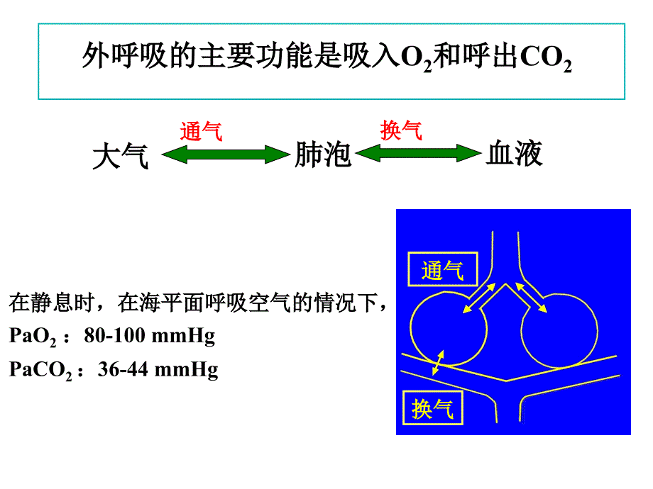 ks-呼衰(11章)_第3页