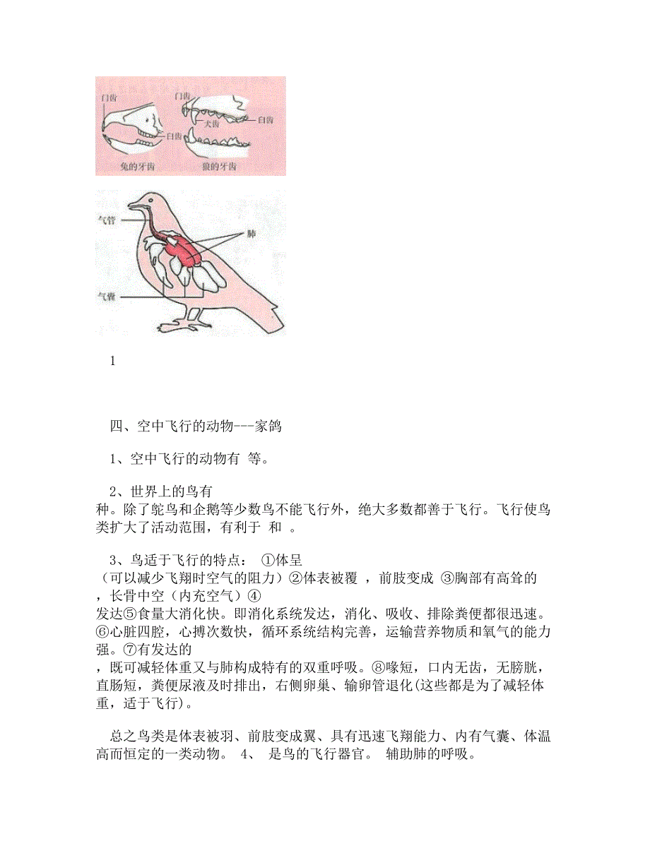 [doc]-八年级生物上册期末考试复习提纲(填空)_第4页