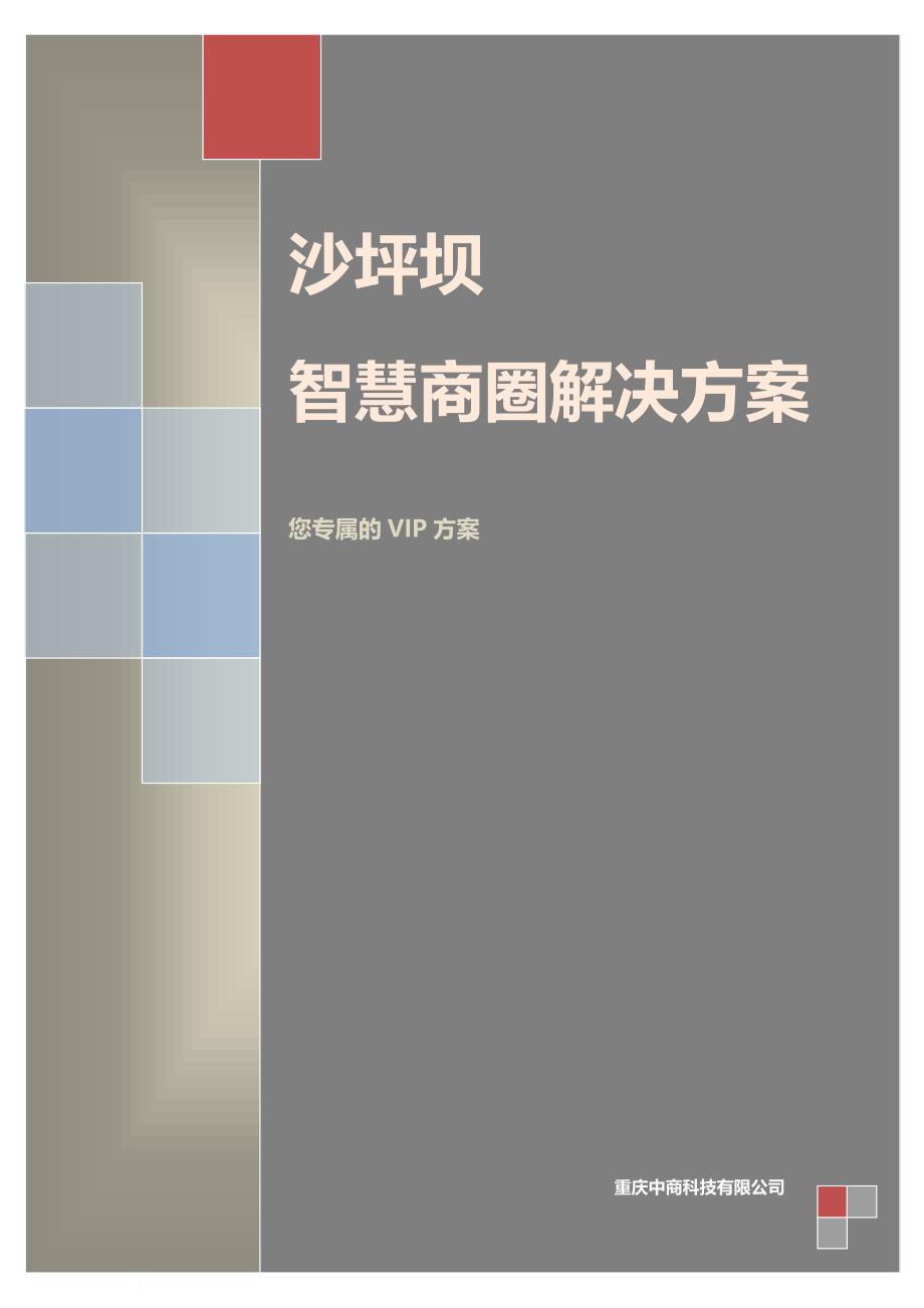 沙坪坝智慧商圈方案建议书.doc_第1页