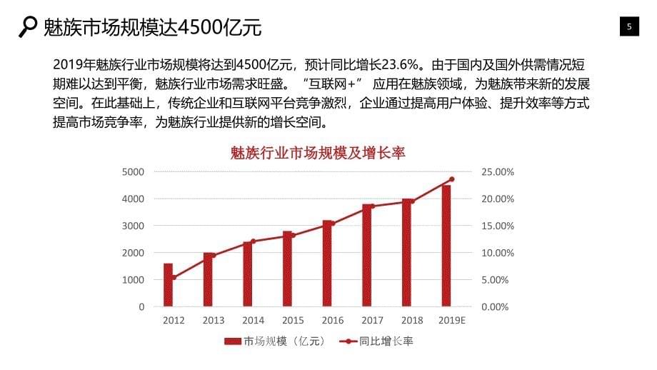 魅族行业发展概况竞争投资_第5页