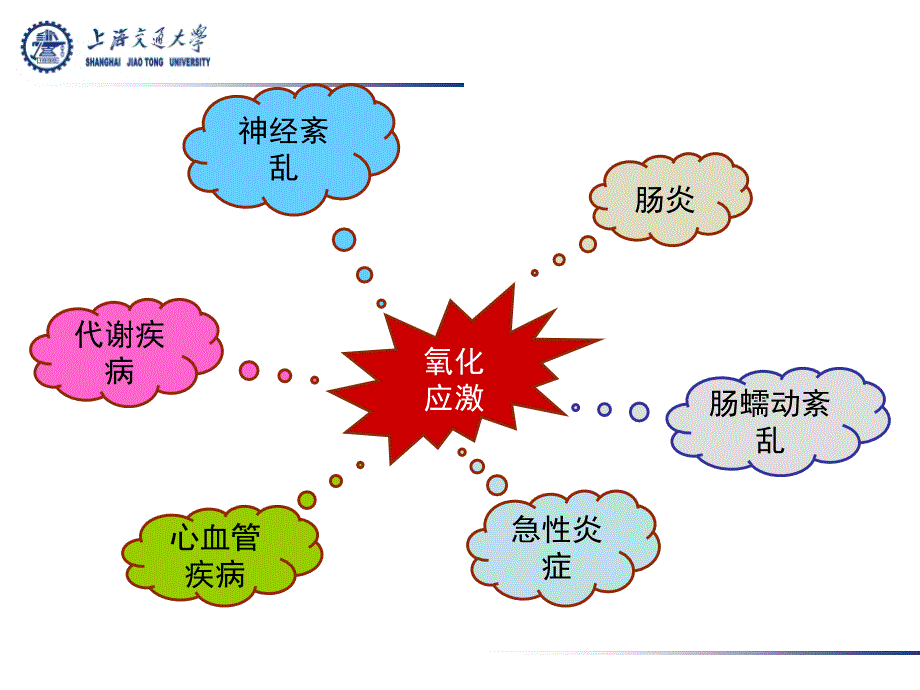 氧化应激与消化道功能关系_第3页