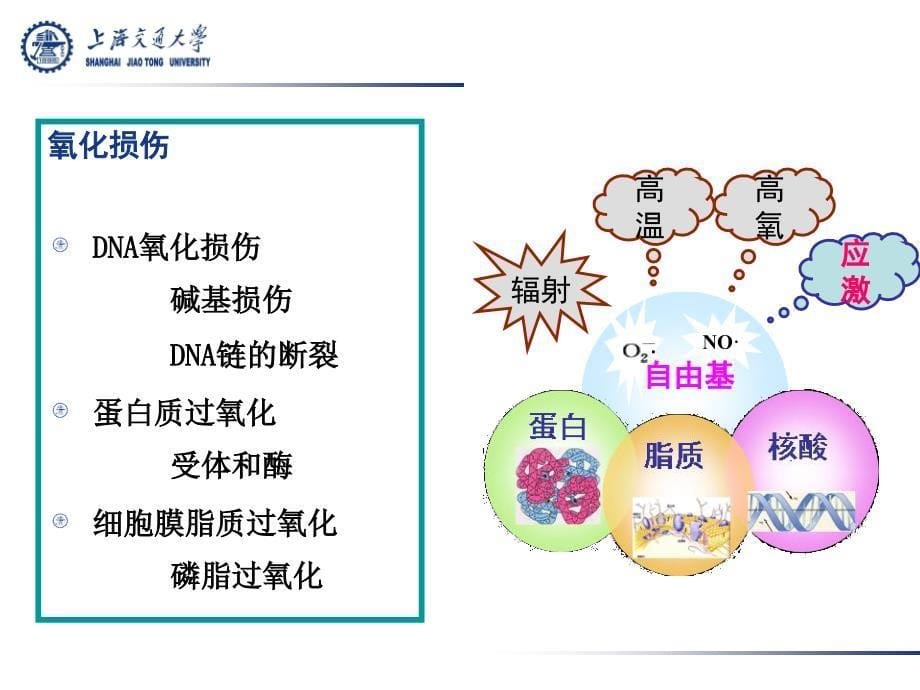 氧化应激与消化道功能关系_第5页