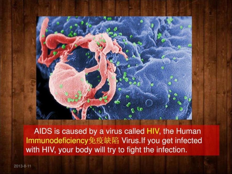 aids艾滋英语演讲_第4页