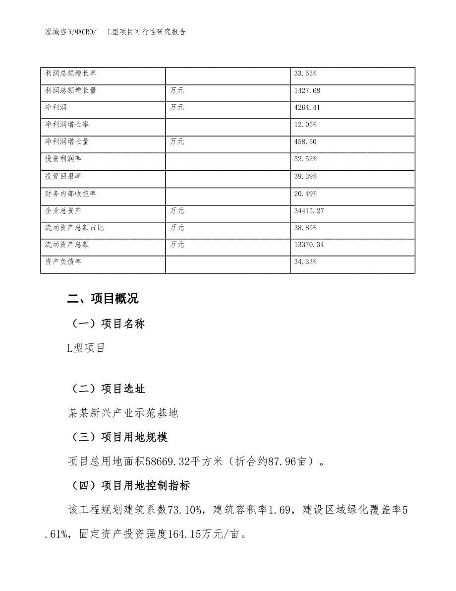 L型项目可行性研究报告（总投资20000万元）（88亩）_第5页