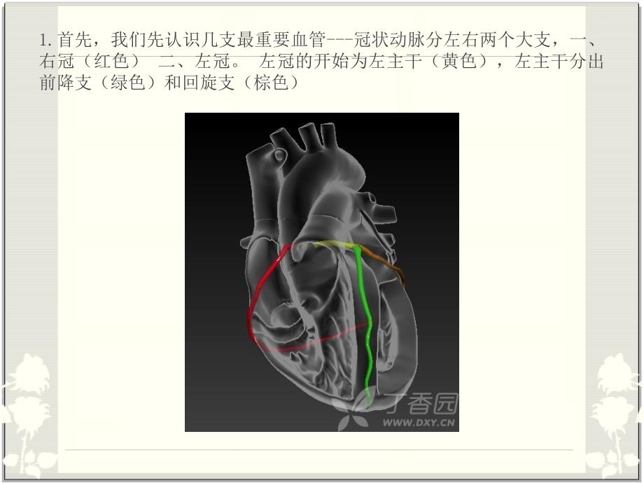 心脏血管解剖_冠脉解剖_第2页