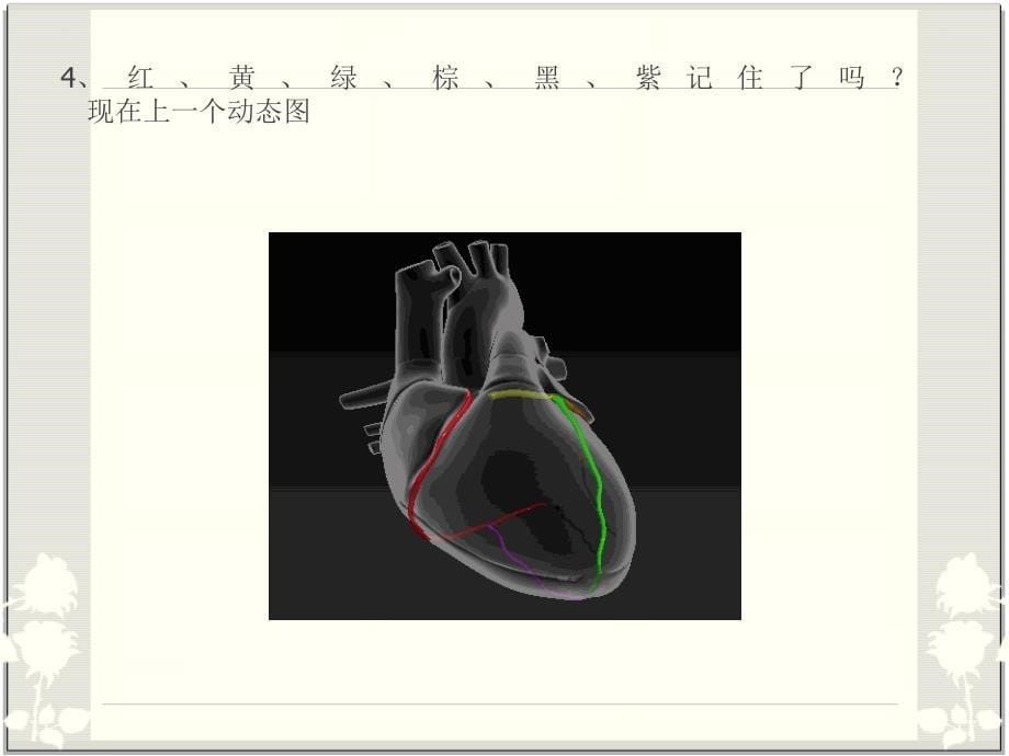 心脏血管解剖_冠脉解剖_第5页