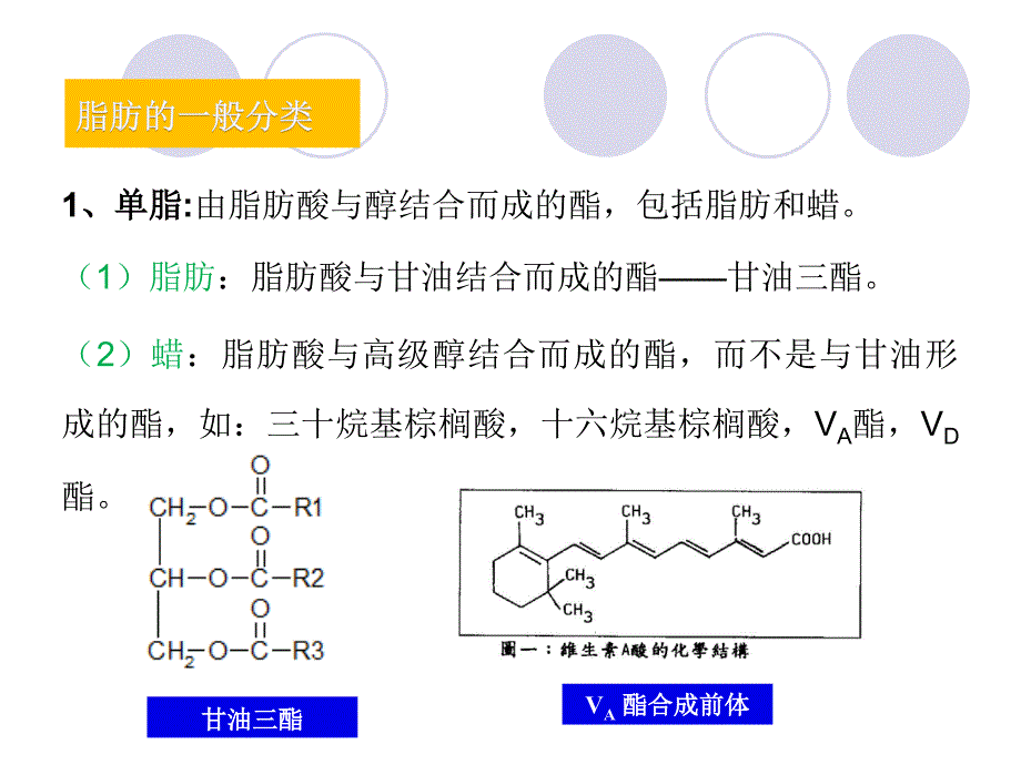 食品中脂肪与测定_第4页