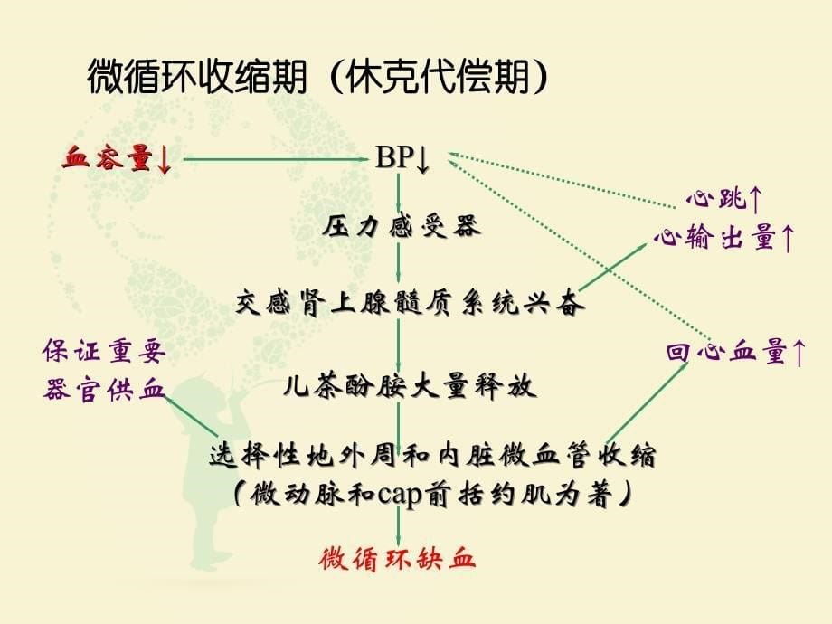 休克病人护理2(1)(1)_第5页