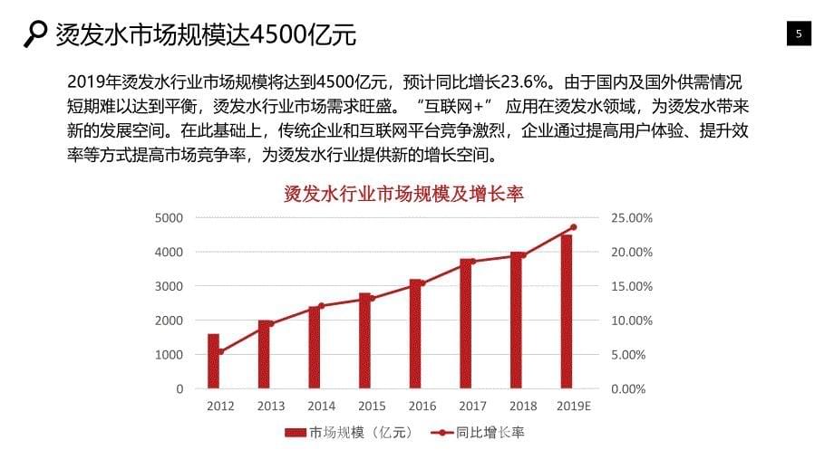 烫发水行业发展概况竞争投资_第5页