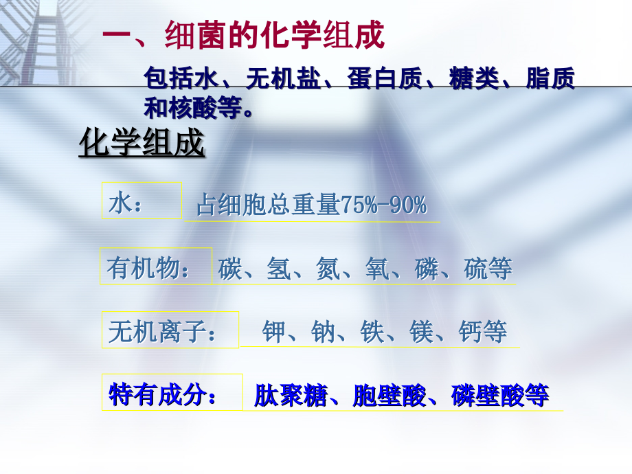 医学微生物 第二章 细菌生理_第3页