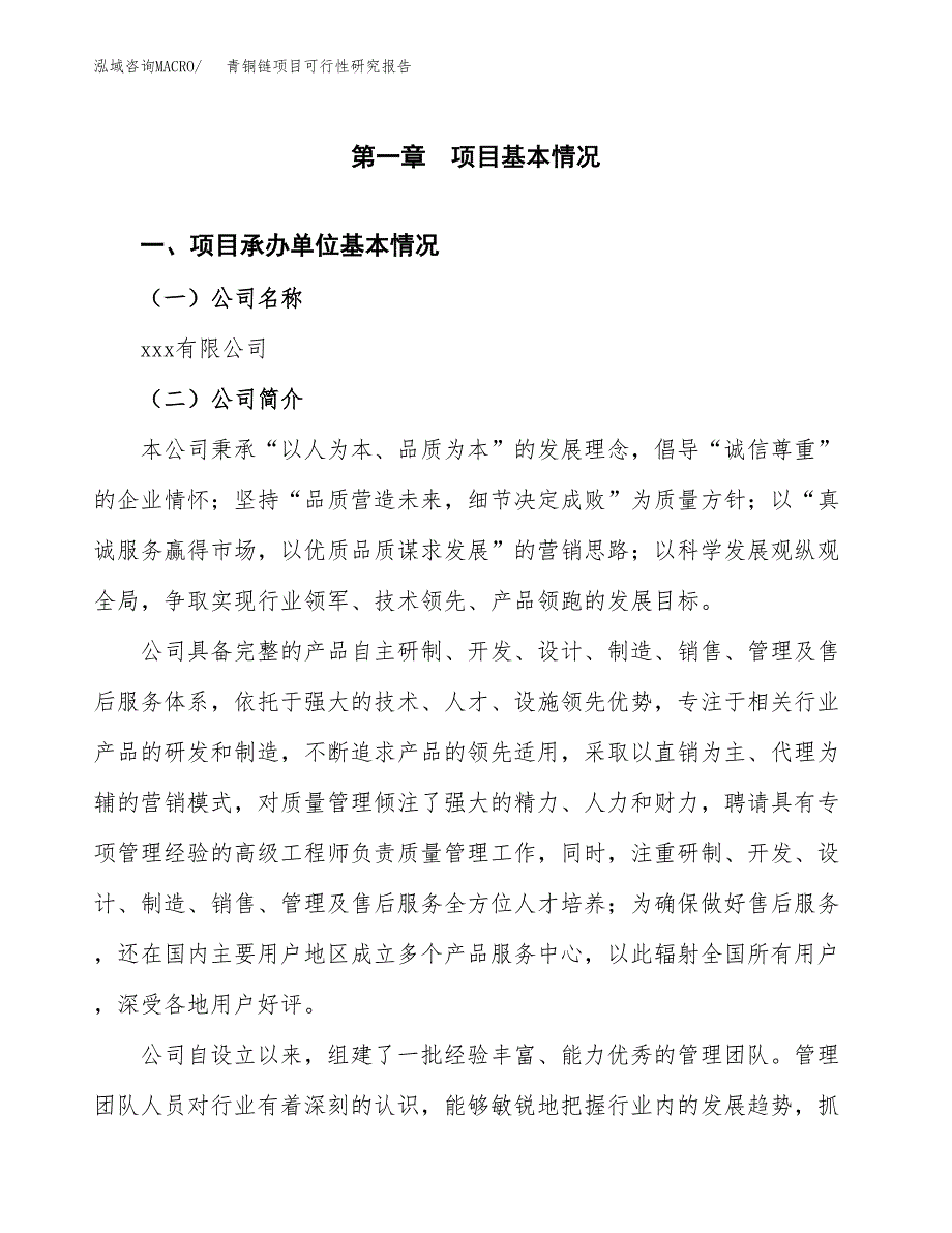 青铜链项目可行性研究报告（总投资12000万元）（51亩）_第3页