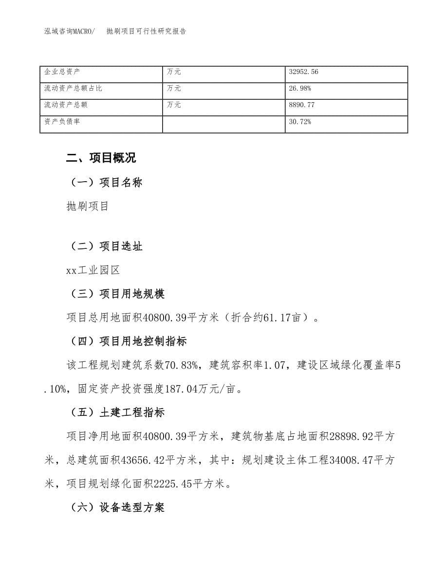 抛刷项目可行性研究报告（总投资14000万元）（61亩）_第5页