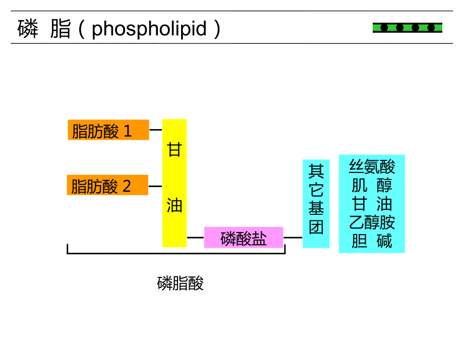 抗磷脂抗体在体检人群血栓筛查中应用_第4页