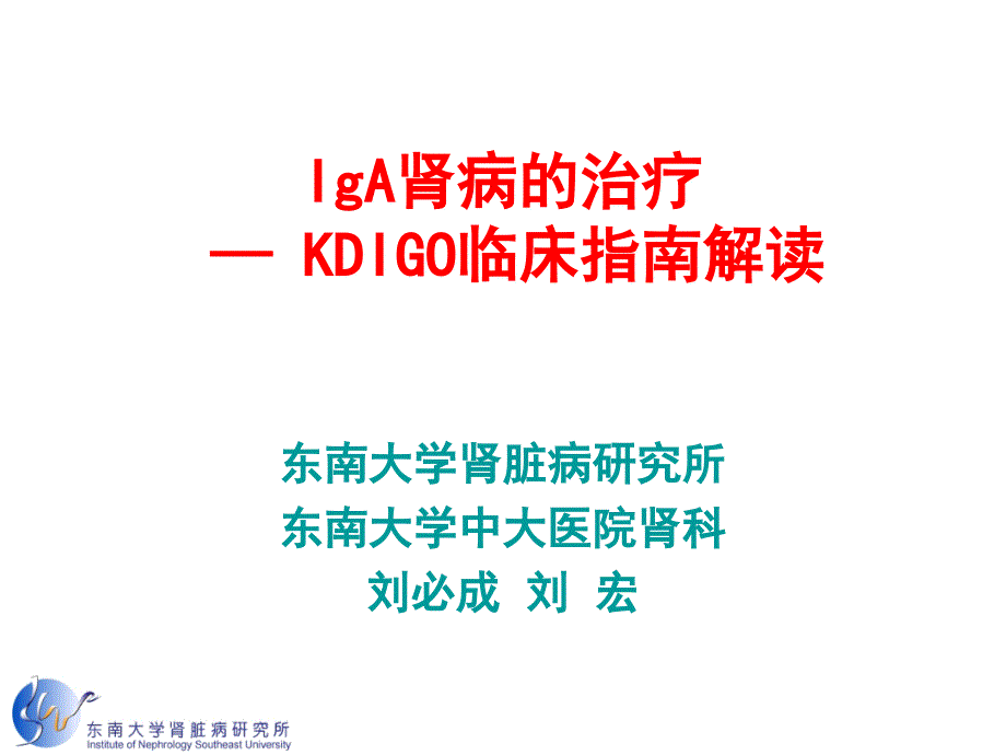 kdigo指南解读—igan_第1页