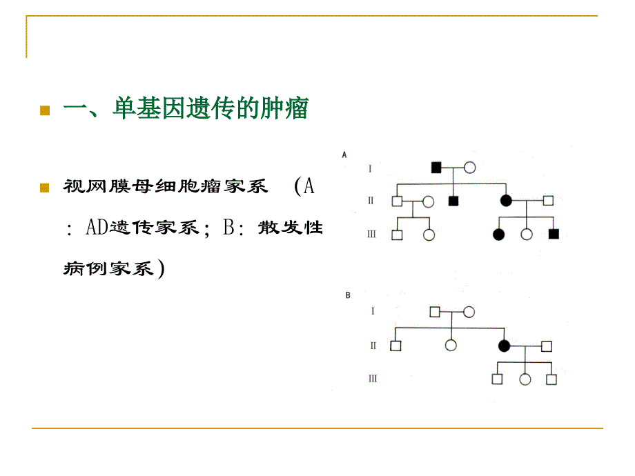 第十六章-遗传与肿瘤发生_第4页