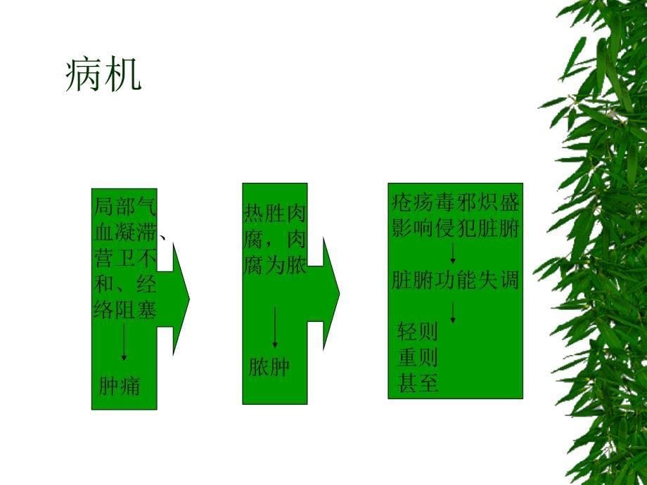 疮疡医学课件_第5页