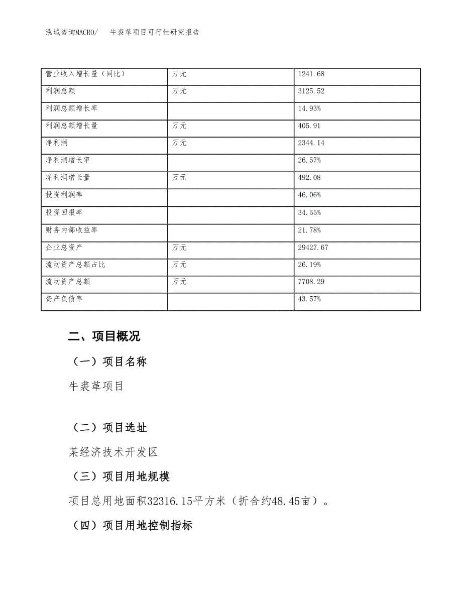 牛裘革项目可行性研究报告（总投资13000万元）（48亩）_第5页