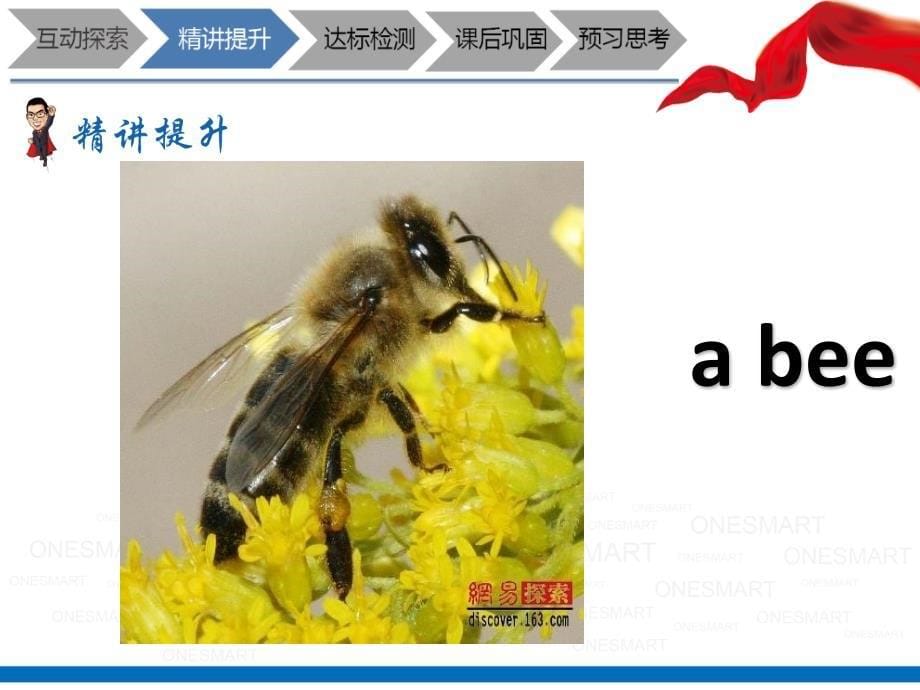 三年级上册英语课件-m4 unit 1 insects 牛津上海版（一起）_第5页