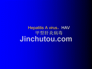 肝炎病毒-病毒-医学微生物学
