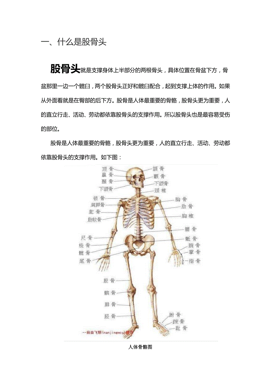 股骨头坏死相关知识集锦v20_第3页