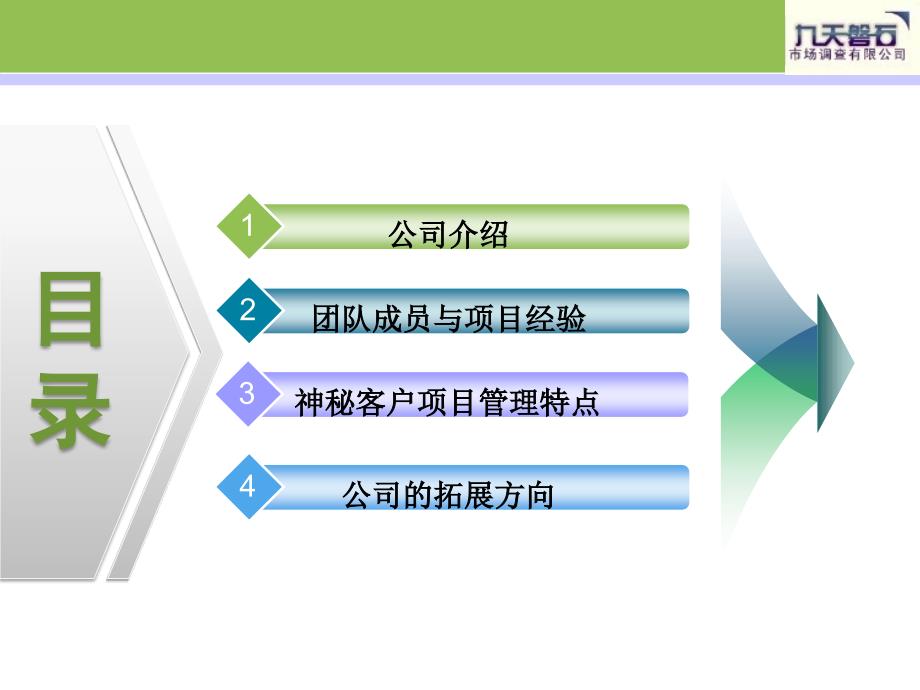 九天磐石市场调查项目经验_第2页