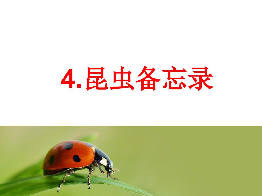 人教部编版三年级下册语文课件：4课 昆虫备忘录_第1页
