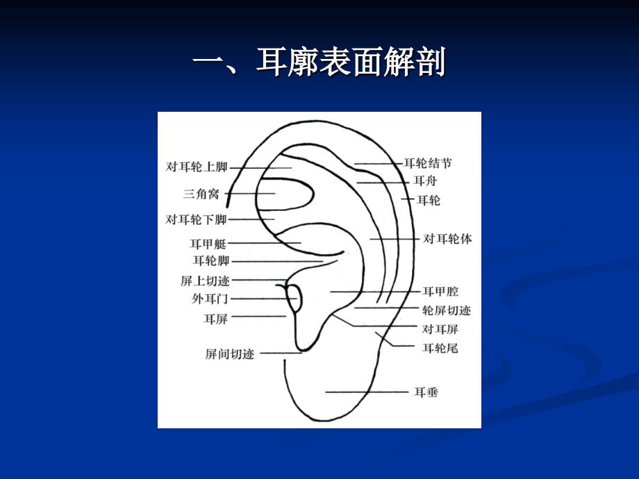 耳穴压豆疗法的临床应用_第3页