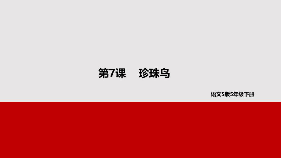 五年级下册语文课件-7珍珠鸟 语文s版_第1页