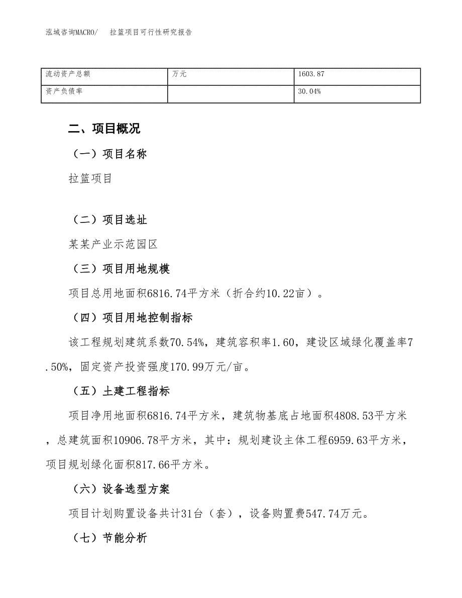 拉篮项目可行性研究报告（总投资2000万元）（10亩）_第5页