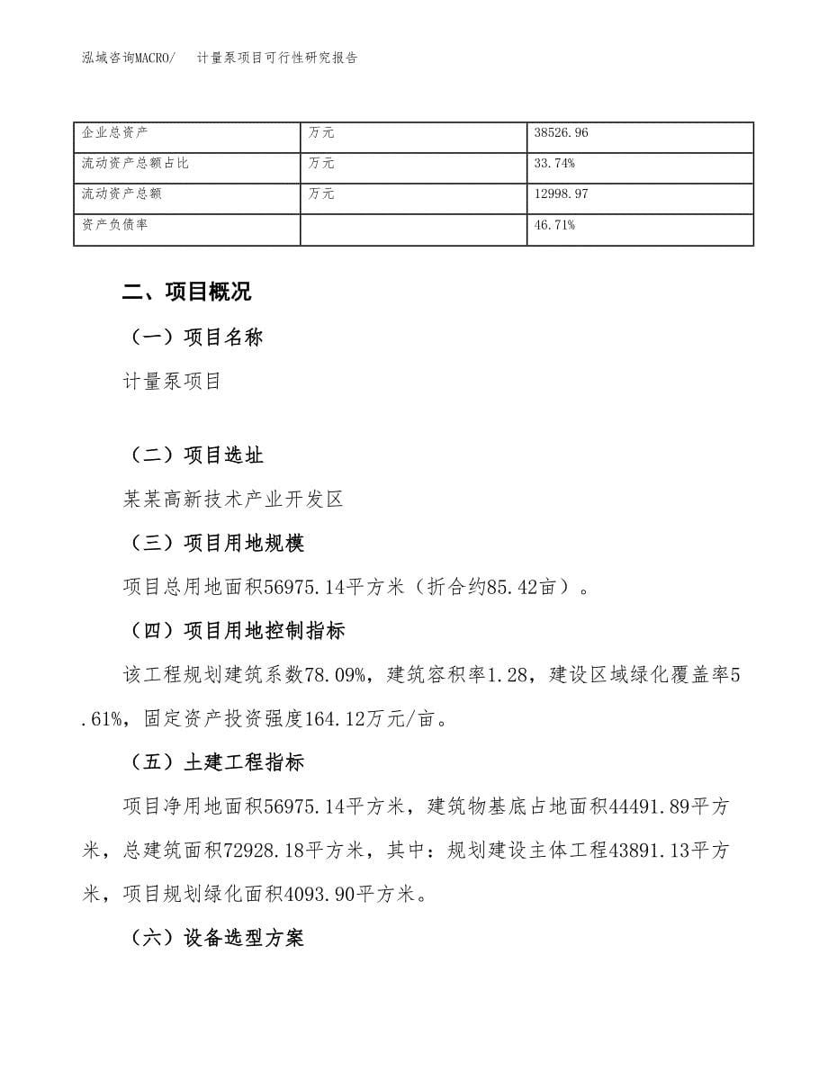 计量泵项目可行性研究报告（总投资20000万元）（85亩）_第5页