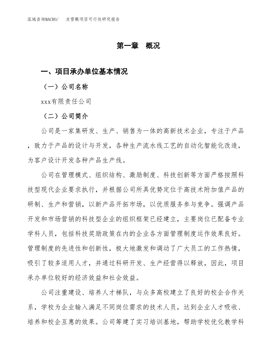 皮雪靴项目可行性研究报告（总投资6000万元）（29亩）_第3页