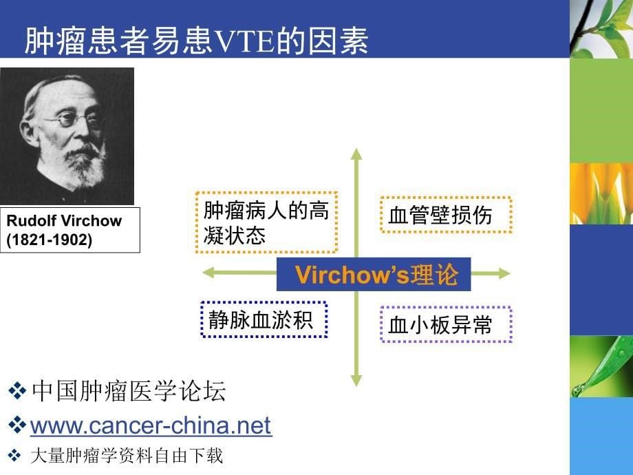 低分子肝素在肿瘤临床治疗中的运用ppt_第5页