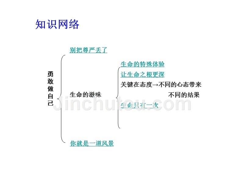 (人民版)政治九年级复习【课时11】《勇敢做自己》ppt课件_第5页