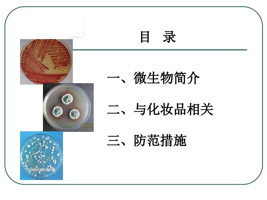 化妆品的微生物基础知识培训.._第2页